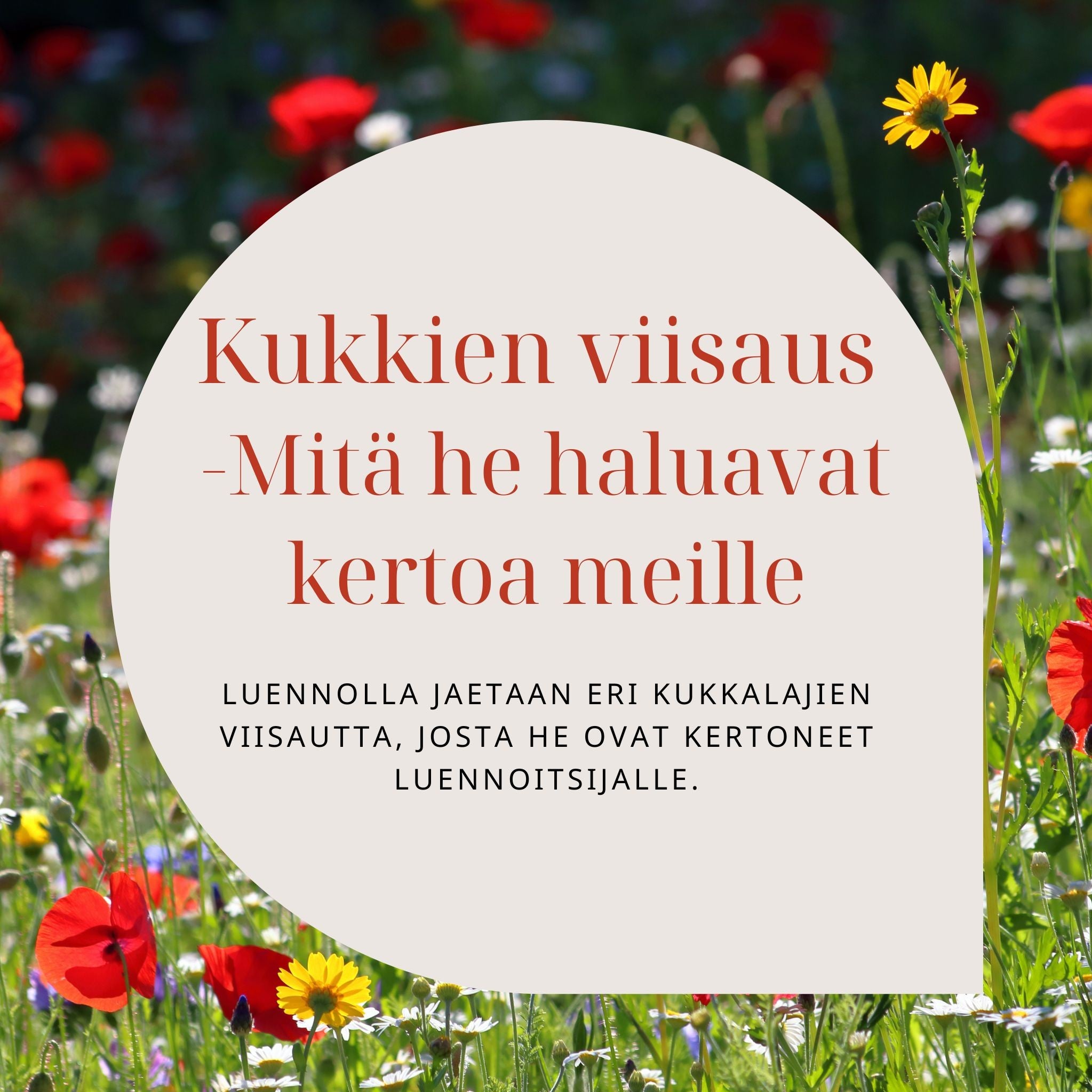 Kukkien viisaus – mitä he haluavat kertoa meille -verkkoluento ke 10.6.2026 klo 18:30-20:00