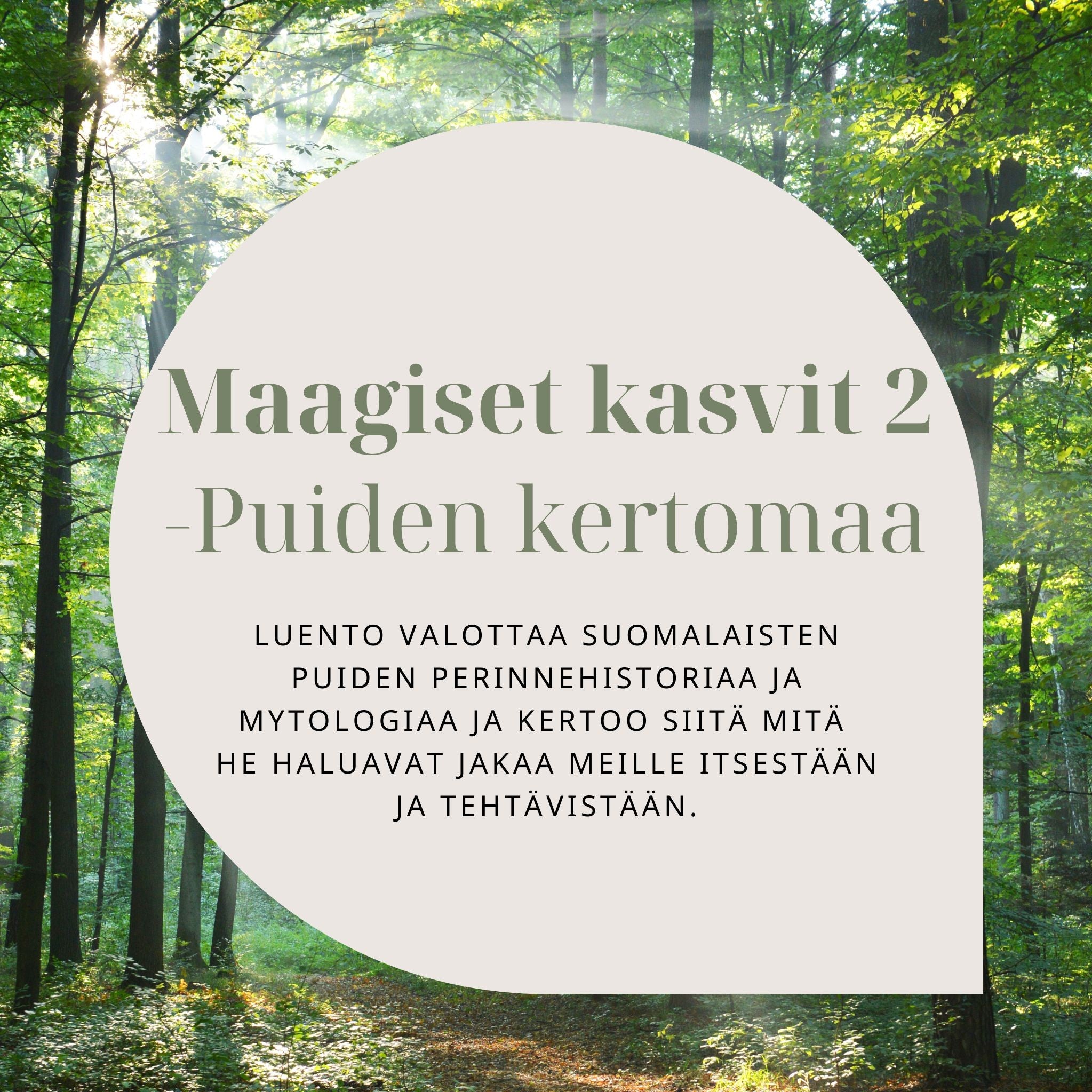Maagiset kasvit 2 – puiden kertomaa -verkkoluento to 26.2.2026 klo 18:30-20:00