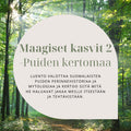 Maagiset kasvit verkkoluennon tuotekuva, jossa metsä taustalla ja sisältötekstiä keskellä