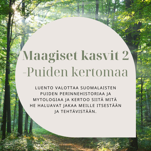 Maagiset kasvit verkkoluennon tuotekuva, jossa metsä taustalla ja sisältötekstiä keskellä