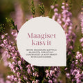 Maagiset kasvit verkkoluennon tuotekuva jossa tekstiä
