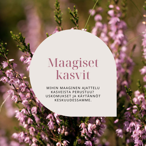 Maagiset kasvit verkkoluennon tuotekuva jossa tekstiä