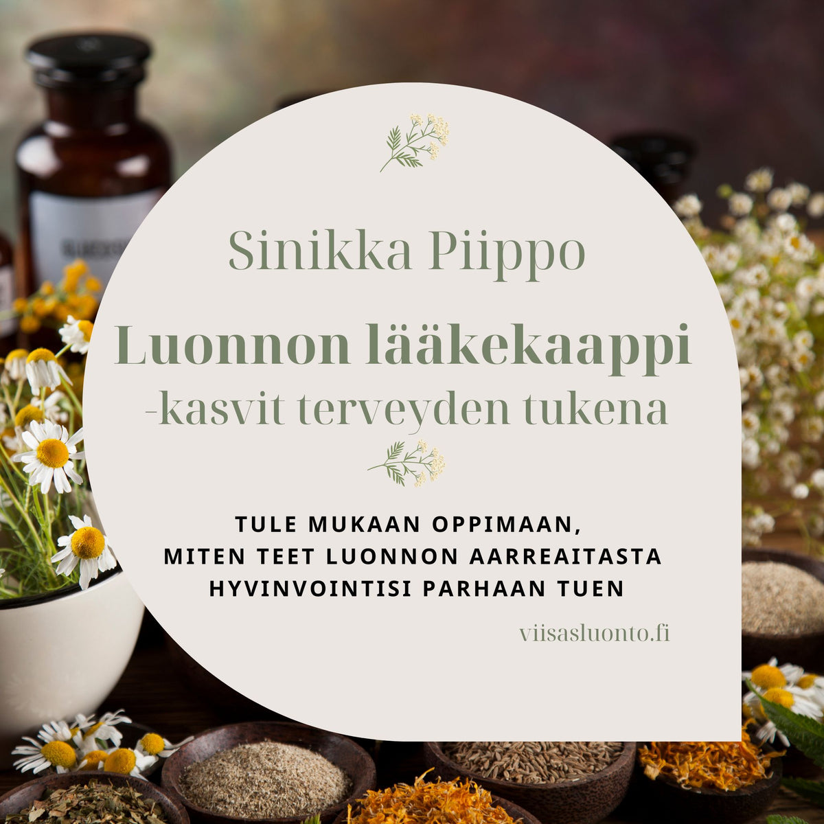 Luonnon lääkekaappi - Kasvit terveyden tukena -verkkoluento to 19.11.2026 klo 18:30-20:00